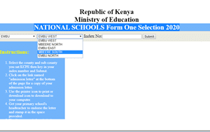 Check Your 2023 Form One Placement Results online.