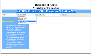 Check Your 2023 Form One Placement Results online.