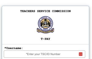 How To Access and Read a TSC Payslip Online?