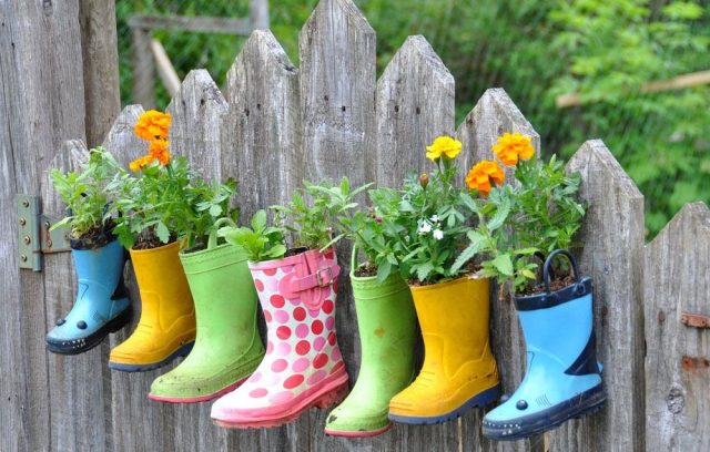 Innovative gardening - Cbc Kenya Guide