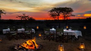 The Best Accommodations in Maasai Mara - mahali-mzuri