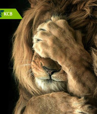 How to transfer money from M-PESA to a KCB account via Paybill