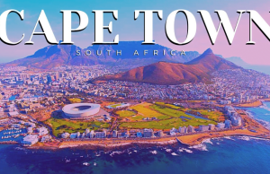 Business ideas for capetown South Africa