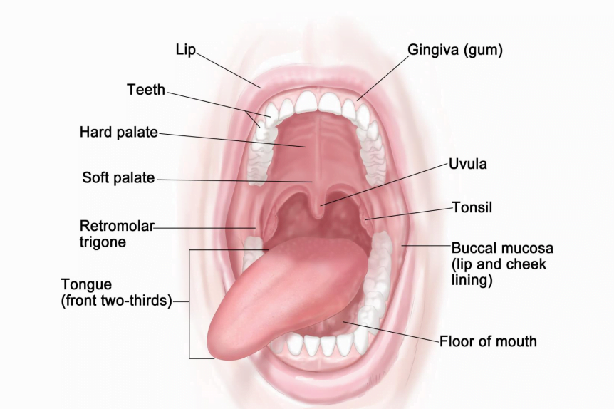 Oral health in Kenya Dentists nairobi