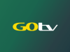 Gotv Plus in Kenya: Its Pricing and Channels in 2024