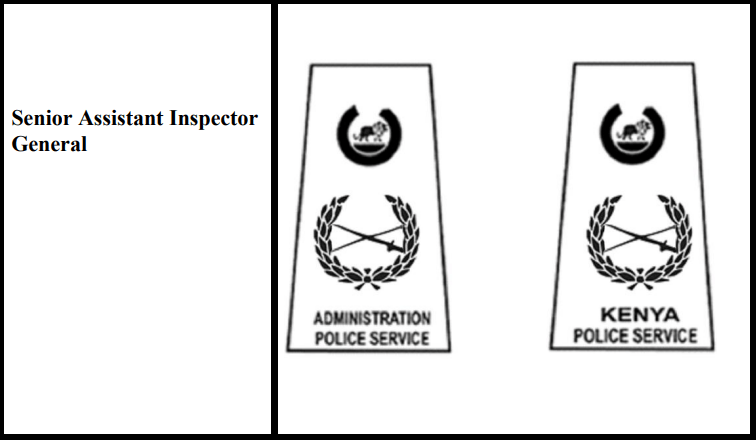 Police insignia and ranks