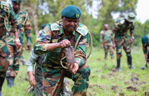 Is Kenya Forest Service Under NPS?