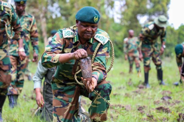 Is Kenya Forest Service Under NPS?