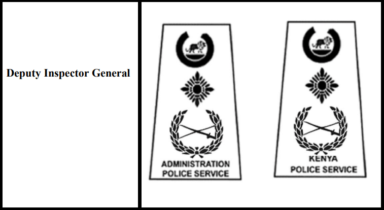 Deputy Inspector Generals insignia